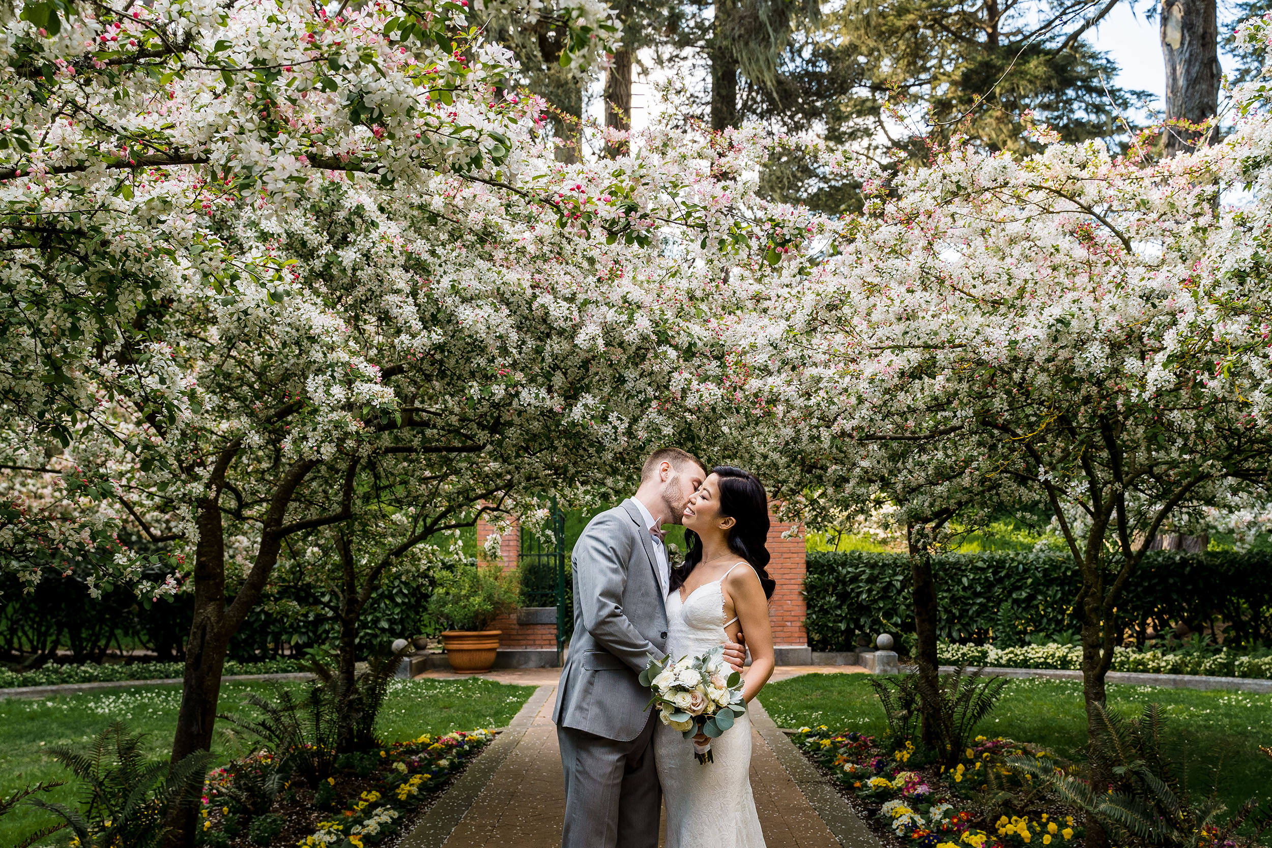 bride and groom under spring time apple blossoms