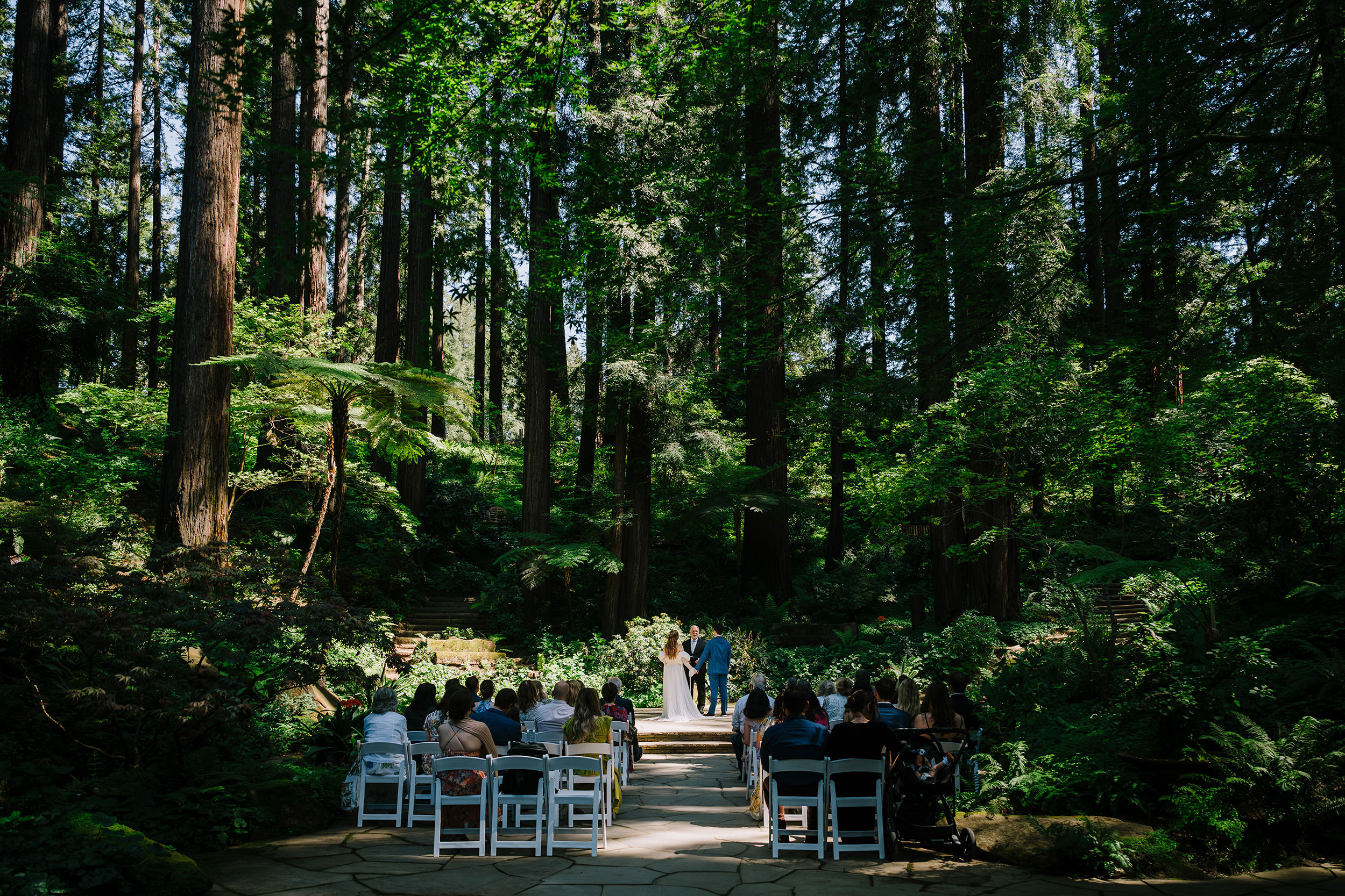 bride and groom saying their vow under the redwoods at Nestldown