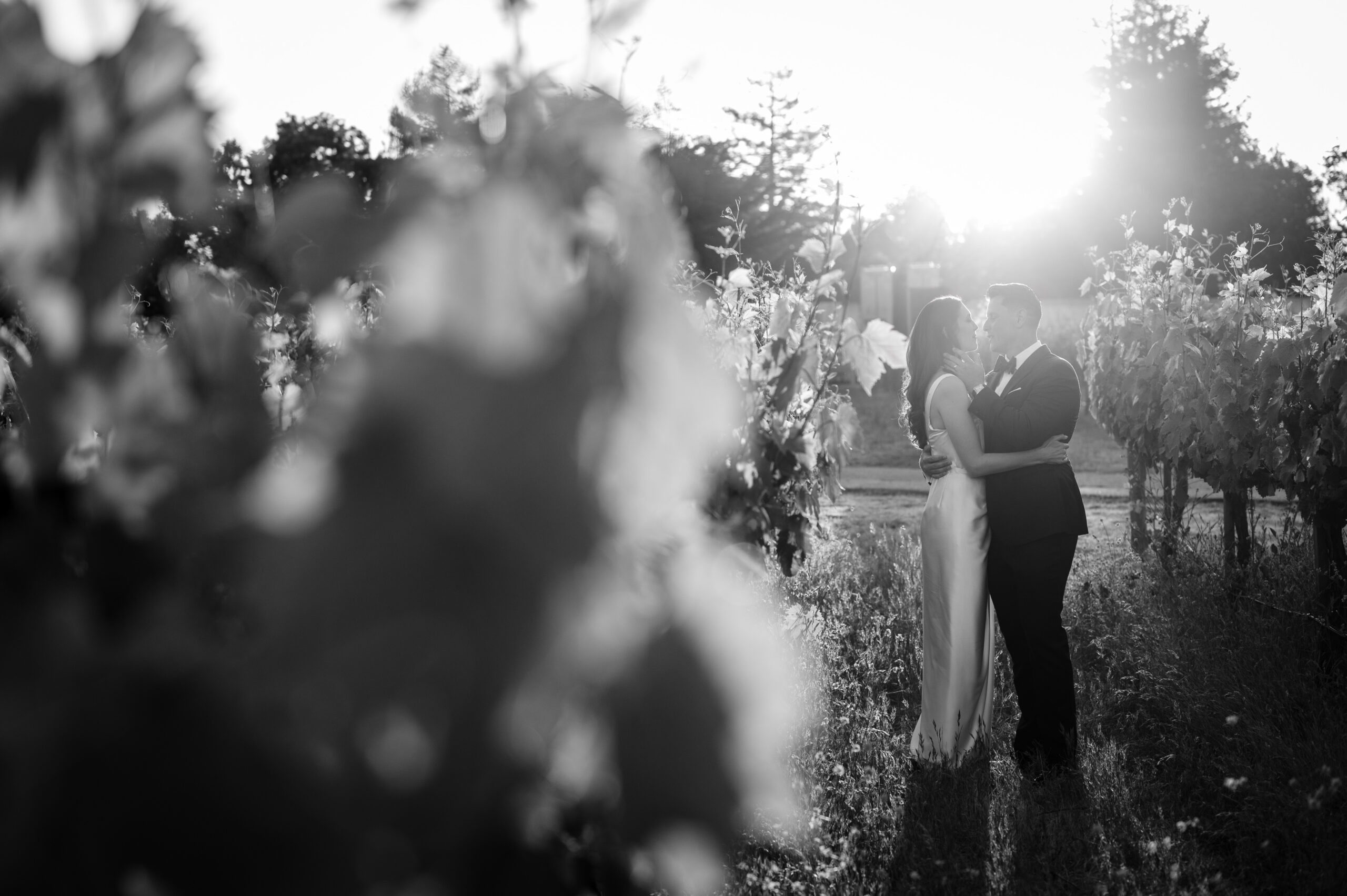 bride and groom at their winery wedding at folktale